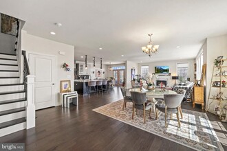 43242 Hattontown Woods Terrace in Ashburn, VA - Building Photo - Building Photo