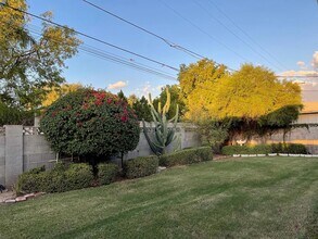 302 E El Caminito Dr in Phoenix, AZ - Foto de edificio - Building Photo