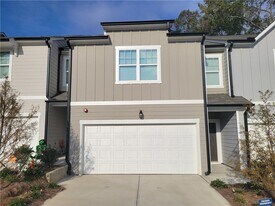 1036 Castanea Dr in Douglasville, GA - Building Photo