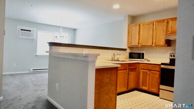 234 Willow Springs in New Milford, CT - Building Photo - Building Photo