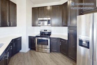 4300 Swanson Wy in Castle Rock, CO - Building Photo - Building Photo