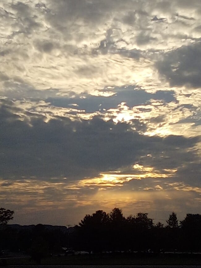 9363 Peebles Rd in Allison Park, PA - Building Photo - Building Photo