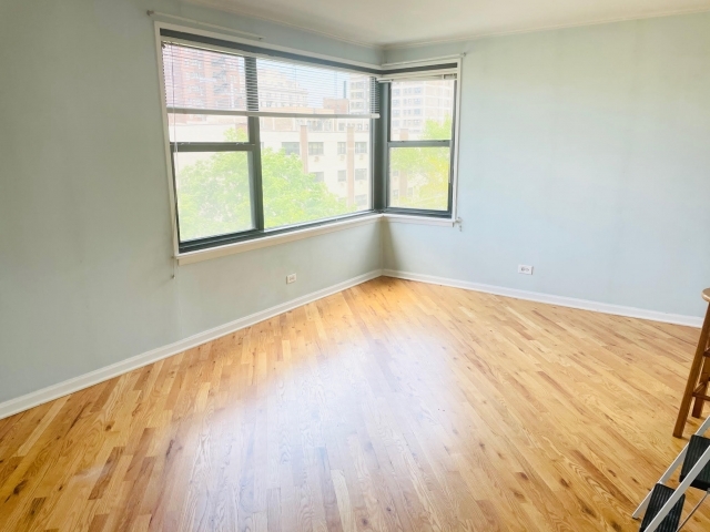 525 W Aldine Ave, Unit 401 in Chicago, IL - Building Photo - Building Photo