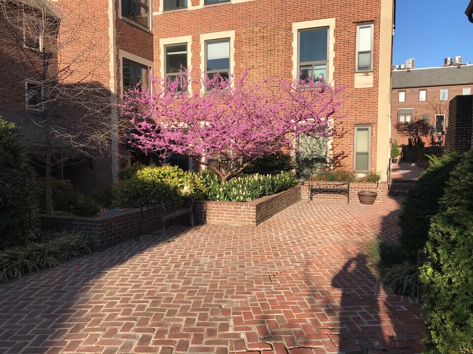 1715 15th St NW, Unit 204 in Washington, DC - Building Photo