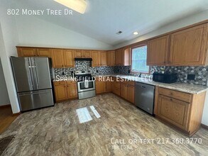 802 Money Tree Dr in Chatham, IL - Building Photo - Building Photo