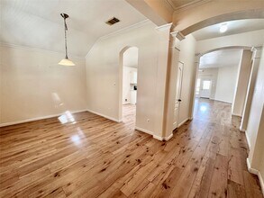 17310 Brookhollow Mist Ct in Houston, TX - Building Photo - Building Photo