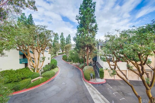 9771 Mesa Springs Way in San Diego, CA - Building Photo - Building Photo