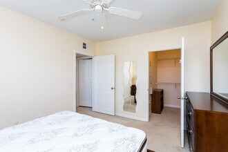 770 Siena Palm Dr in Celebration, FL - Building Photo - Building Photo