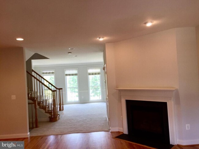 25802 Turlough Terrace in South Riding, VA - Foto de edificio - Building Photo