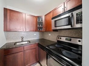 21 W Goethe St, Unit 15E in Chicago, IL - Building Photo - Building Photo