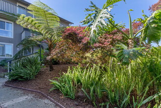 Vista Belvedere in Tiburon, CA - Foto de edificio - Building Photo
