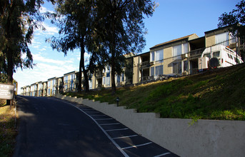 Valley Meadows North Condominium Association in San Diego, CA - Foto de edificio - Building Photo