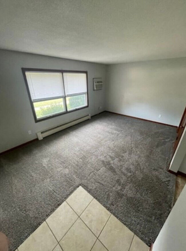 619 14th St SE in Rochester, MN - Building Photo - Building Photo