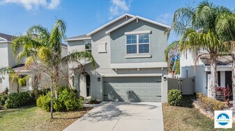 10231 Boggy Moss Dr in Riverview, FL - Building Photo