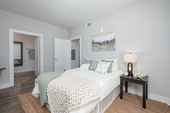 Paragon Luxury Apartments in Athens, GA - Building Photo - Interior Photo