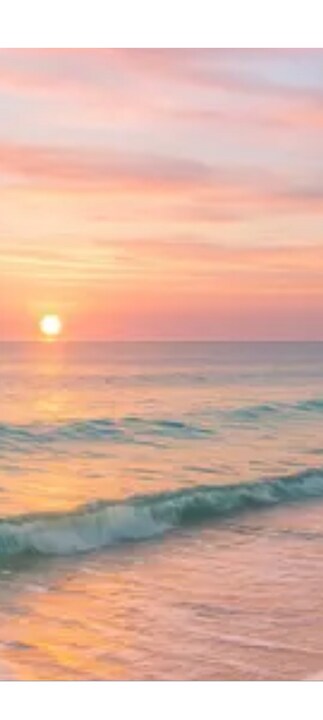 1010 Indian Beach Dr in Sarasota, FL - Building Photo