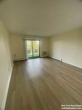 385 Massachusetts Ave in Arlington, MA - Building Photo - Building Photo