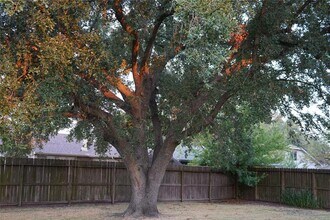 1007 E Belgravia Dr in Pearland, TX - Foto de edificio - Building Photo