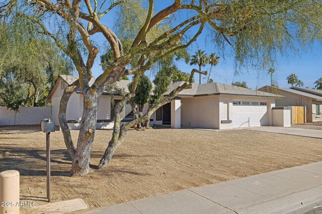 9300 E Kalil Dr in Scottsdale, AZ - Building Photo - Building Photo