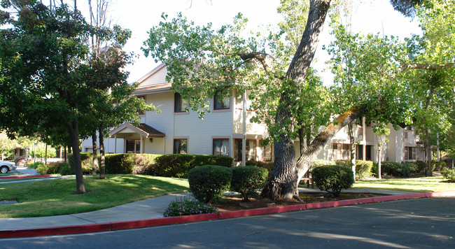 Casa Montego Apartments in Walnut Creek, CA - Building Photo - Building Photo