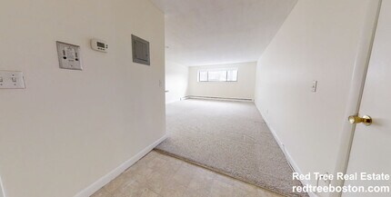 66 Homer Ave in Cambridge, MA - Building Photo - Building Photo