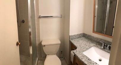 3001 S Michigan Ave, Unit 23 in Chicago, IL - Foto de edificio - Building Photo