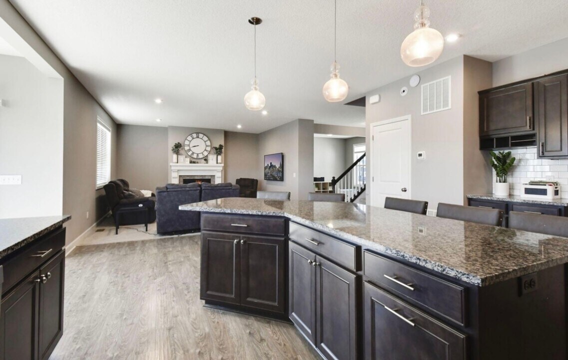 12995 Leyte Cir NE in Blaine, MN - Building Photo
