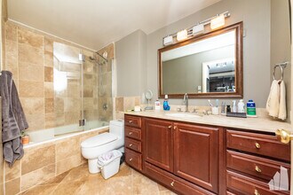 211 E Ohio St, Unit 14134 in Chicago, IL - Building Photo - Building Photo