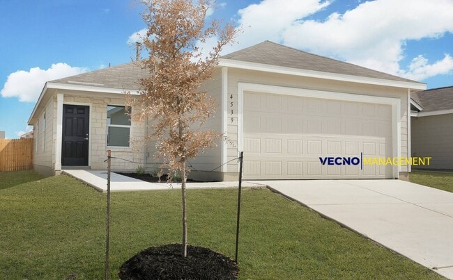 property at 4539 Martin Wy