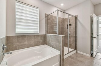 33870 Field Maple Lp in Wesley Chapel, FL - Foto de edificio - Building Photo