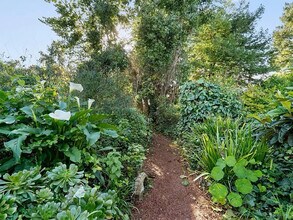 131 Spring St in Santa Cruz, CA - Building Photo - Building Photo