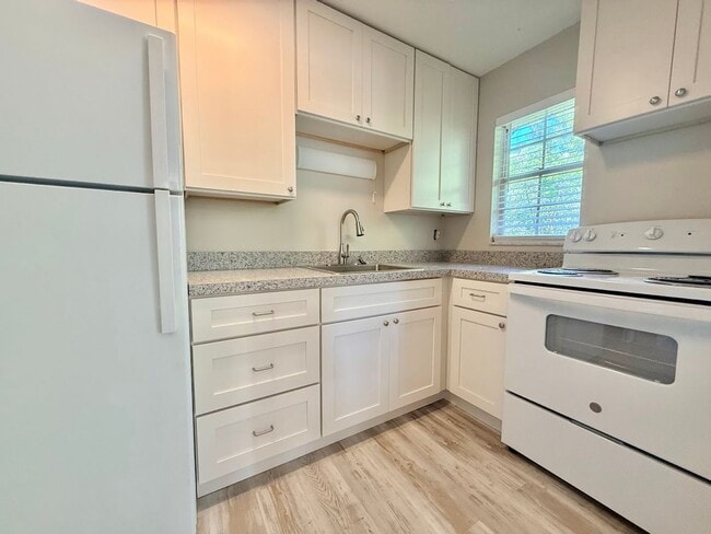 301 S 11th St in Leesburg, FL - Building Photo - Building Photo