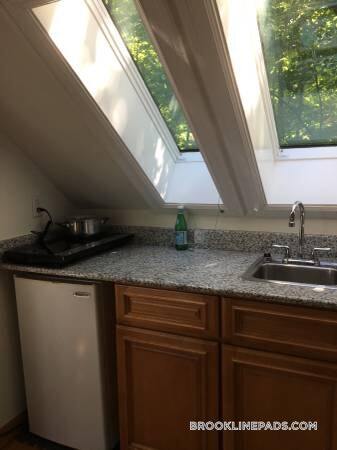 220 Mason Terrace in Brookline, MA - Building Photo