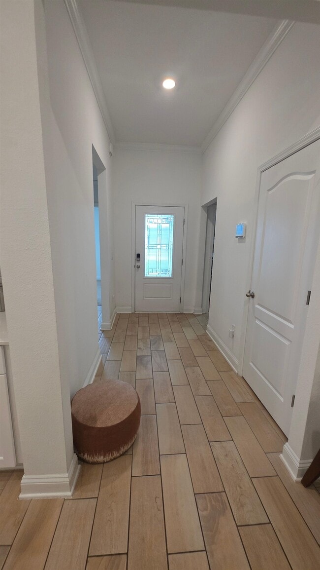 property at 248 Zancara St