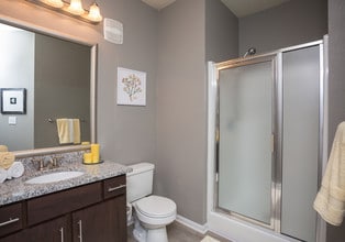 Providence Trail in Mount Juliet, TN - Foto de edificio - Interior Photo