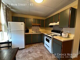 147 S Main St in Jersey Shore, PA - Building Photo