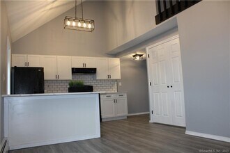 36 Tinsmith Crossing in Wethersfield, CT - Building Photo - Building Photo