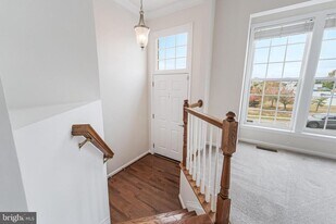 16329 Flotsam Ln in Woodbridge, VA - Building Photo