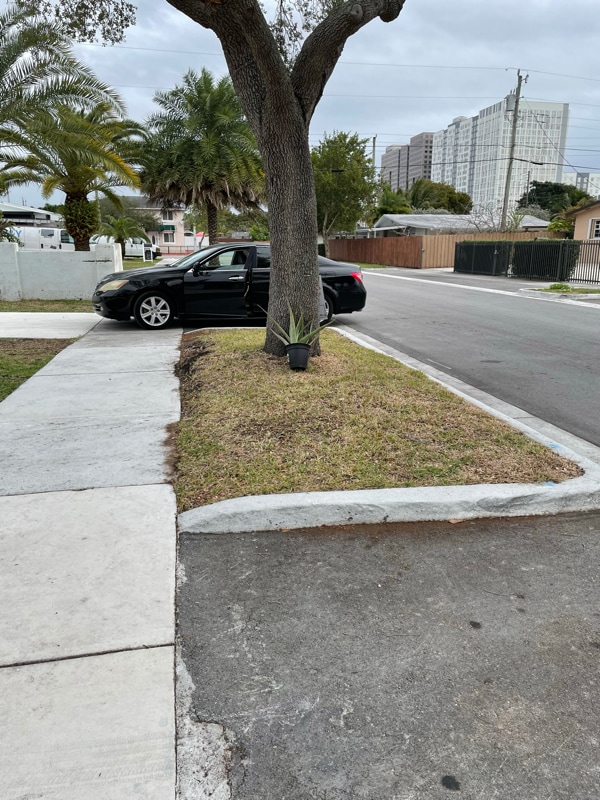 11227-11229 SW 5th Terrace in Miami, FL - Building Photo - Building Photo