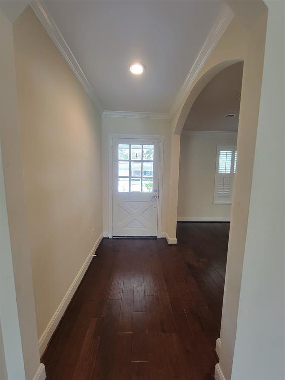 1007 Blue Willow Dr in Houston, TX - Building Photo - Building Photo
