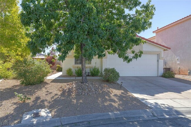 1141 Caper Tree Ct in Las Vegas, NV - Building Photo - Building Photo