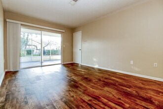 13021 Sirius Ln in Hudson, FL - Building Photo - Building Photo