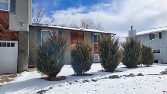 3508 Chestnut Ave in Loveland, CO - Building Photo
