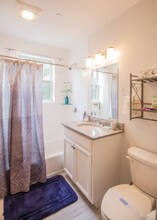 1002 Tremont St, Unit 3 in Boston, MA - Building Photo - Building Photo