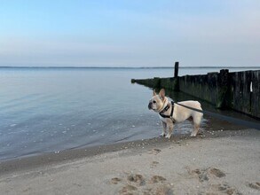 105 Krause Rd in Mattituck, NY - Building Photo - Building Photo