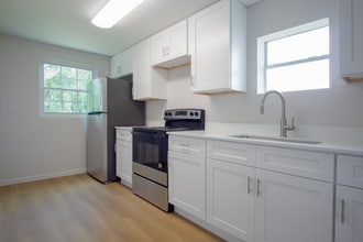 37705 Primo Dr in Dade City, FL - Building Photo - Building Photo