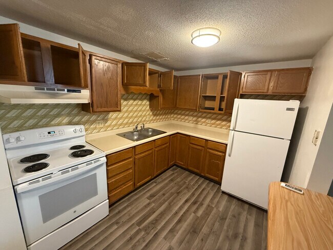 224 Halsey St in Arvilla, ND - Building Photo - Building Photo