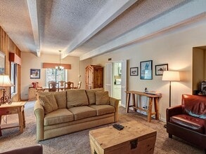 700 Snowberry Ln in Breckenridge, CO - Building Photo - Building Photo