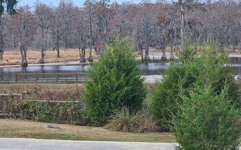 137 SW Grand Magnolia Gln in Lake City, FL - Building Photo - Building Photo