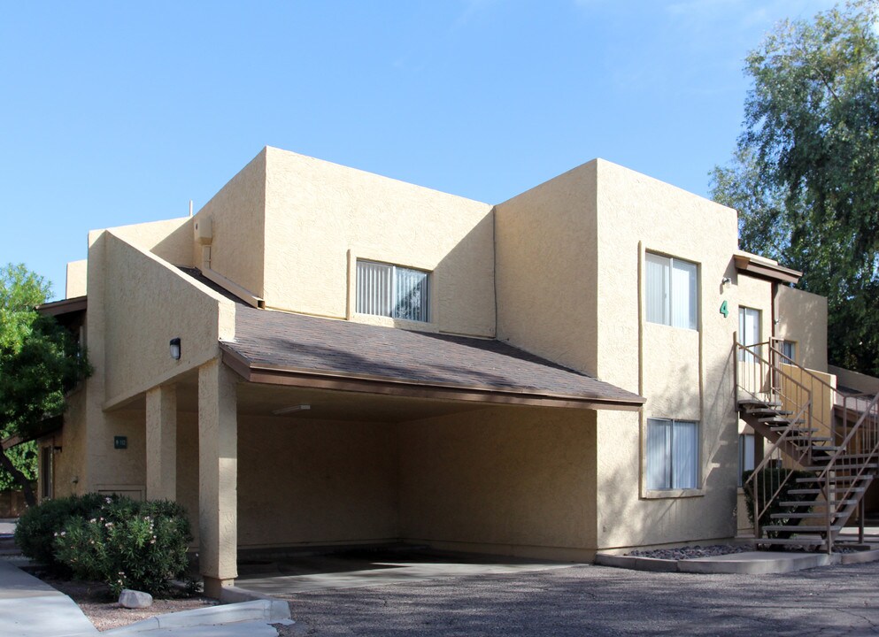 The Cove in Mesa, AZ - Building Photo